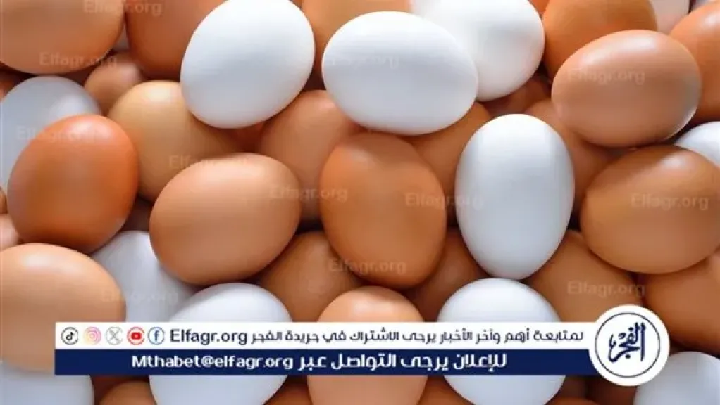 اسعار البيض